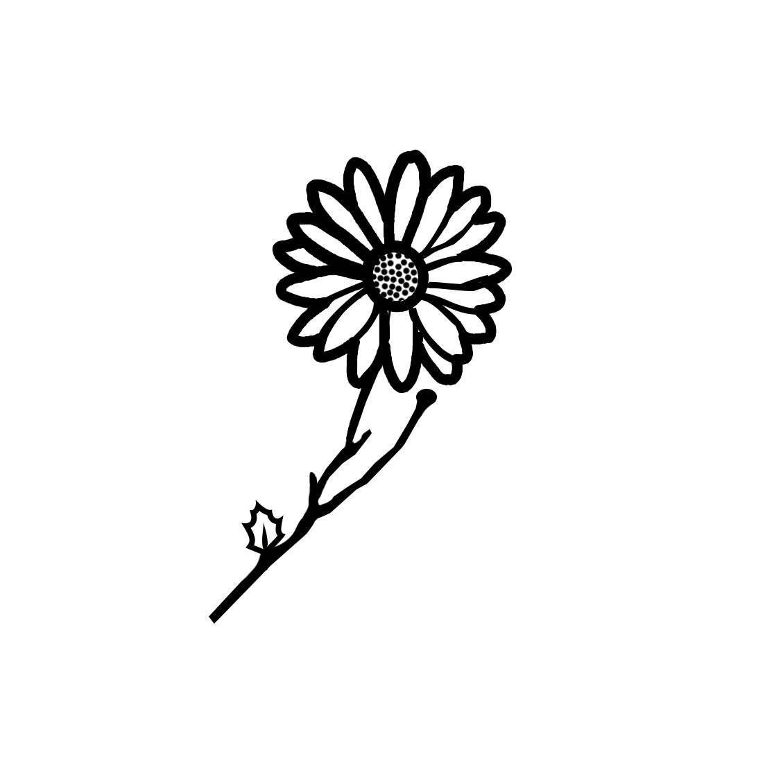 Healthy Bodies on a Budget